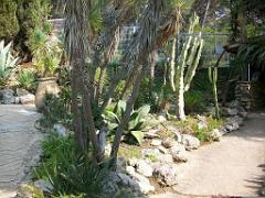 183 D21 SANARY SUR MER 1_000003